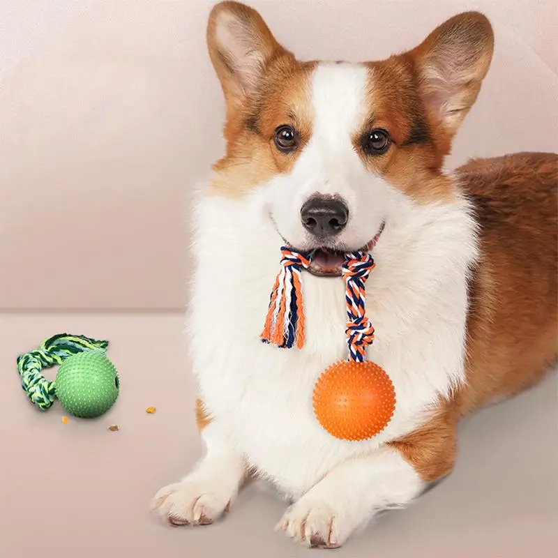 

New dog toys leaking ball cotton rope sniffing ball dog toy stainless steel silicone knot pet toys