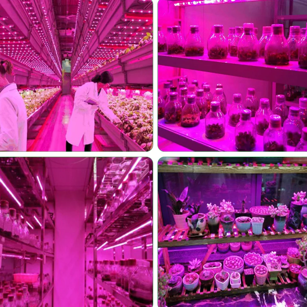 5V USB Led Plant Grow Light Full Spectrum Phyto Lamp 1m 2m 3m Strip For Seeds Flower Greenhouse Tent Hydroponic Plants Lighting images - 6