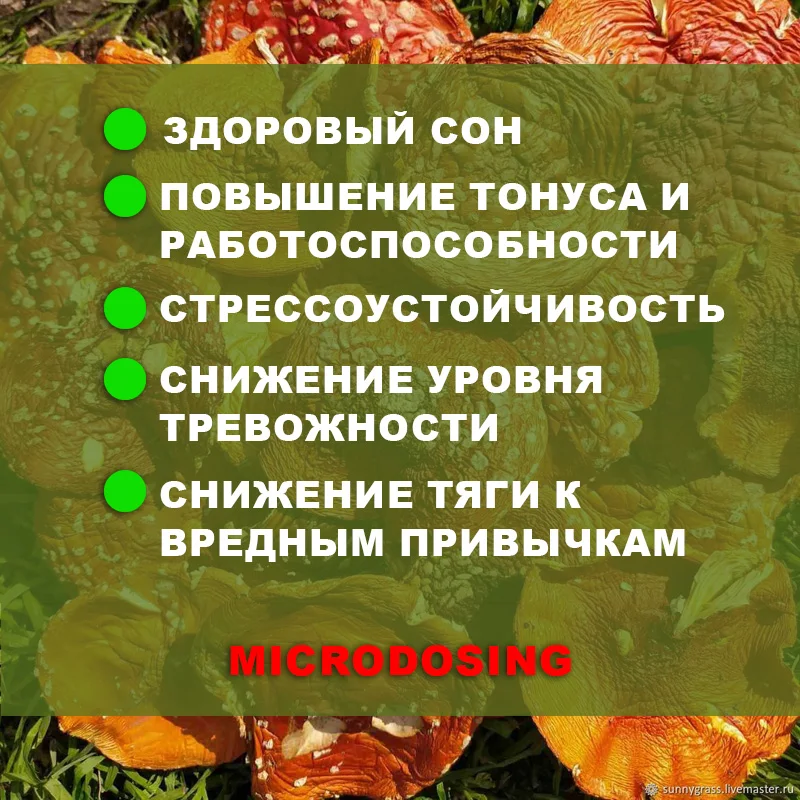 мухомор, мухоморы грибы сушеные, мухоморы микродозинг, мухомор красный ...