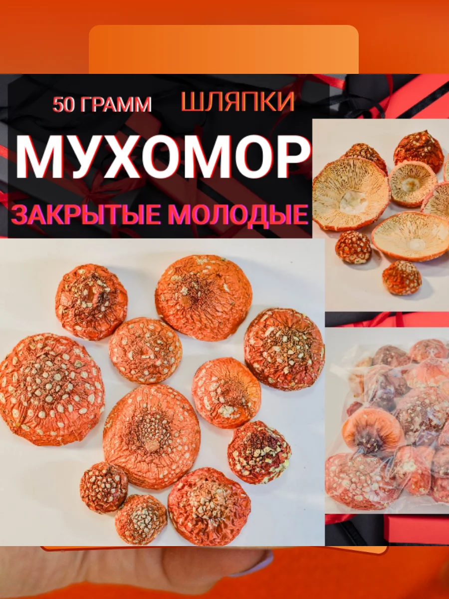 Купить Мухомор 100 Грамм