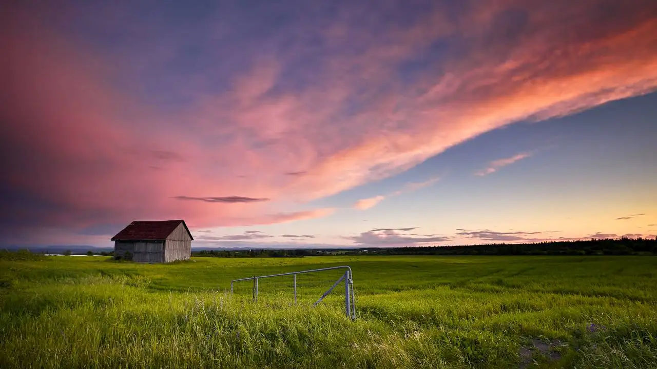 Посреди поля появился квадрат. Белая машина в поле. Зеленые луга. Сарай в поле. Дерево на холме.