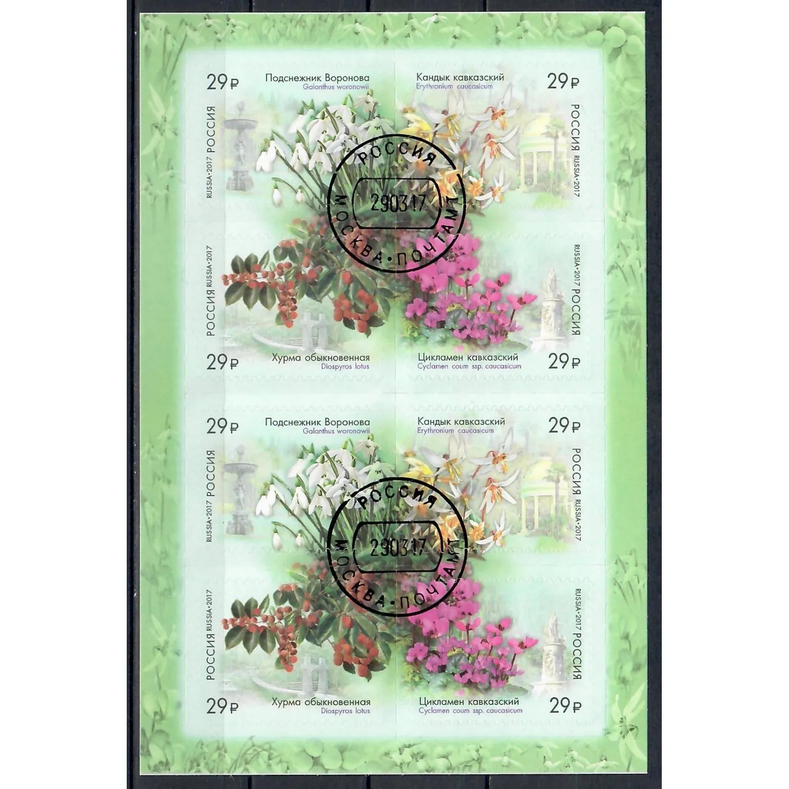 Почтовые марки Россия 2017г. &quotК 125-летию Сочинского парка Дендрарий&quot Цветы U -