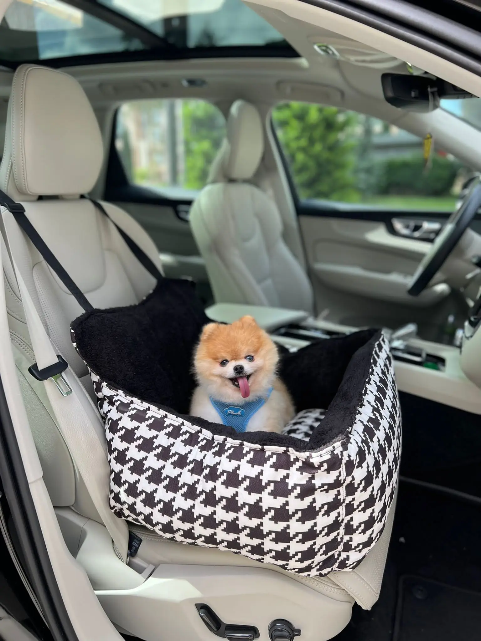 Dog car seat bed travel dog car seats for small medium dogs front/back seat indoor/car use pet car carrier can be fixed on the c