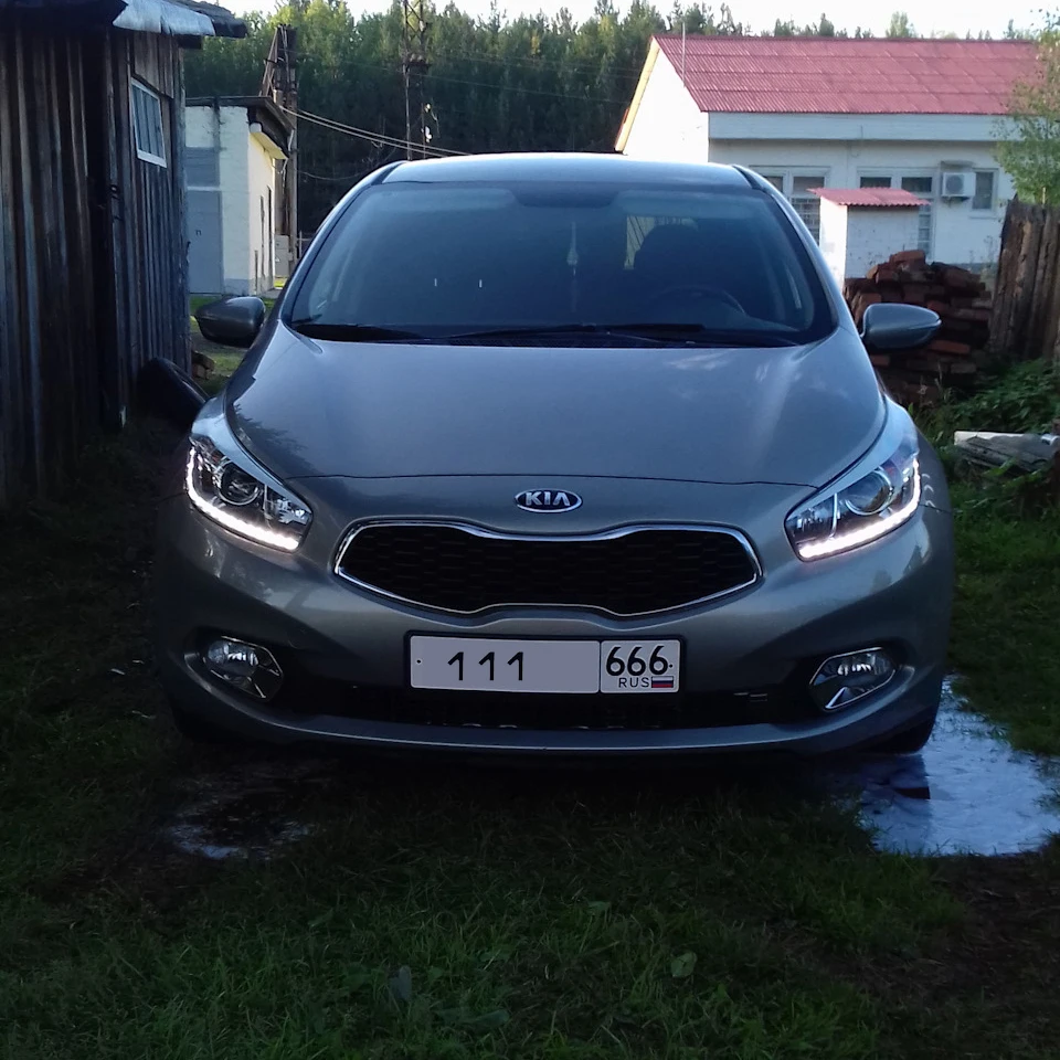 Дхо ceed. ДХО Kia Ceed JD. Дневные ходовые Киа СИД 2013. Цоколь ДХО Киа СИД 2016. ДХО СИД JD Рестайлинг.