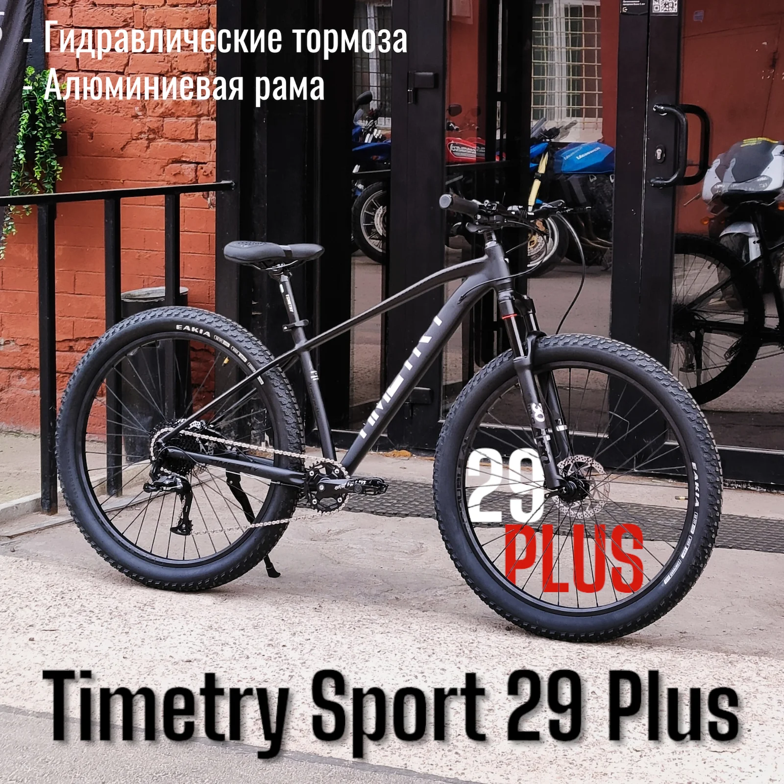 Timetry sport 29 plus