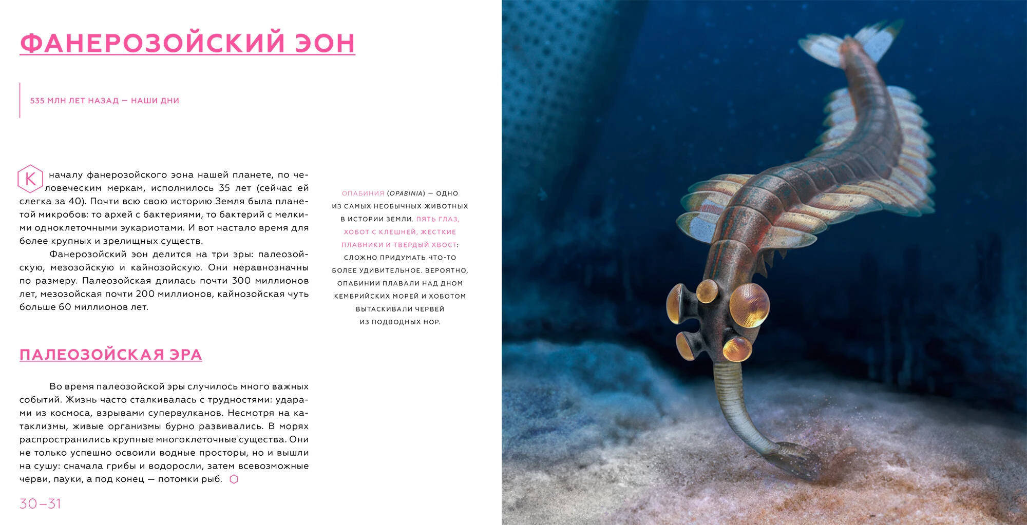 История земли от пыли к пыли. История земли от звездной пыли к звездной пыли. книга история земли от звездной пыли к звездной пыли. нелихов а.е., иванов а. &quot;история земли. от звездной пыли к звездной пыли&quot;. история земли антон нелихов.