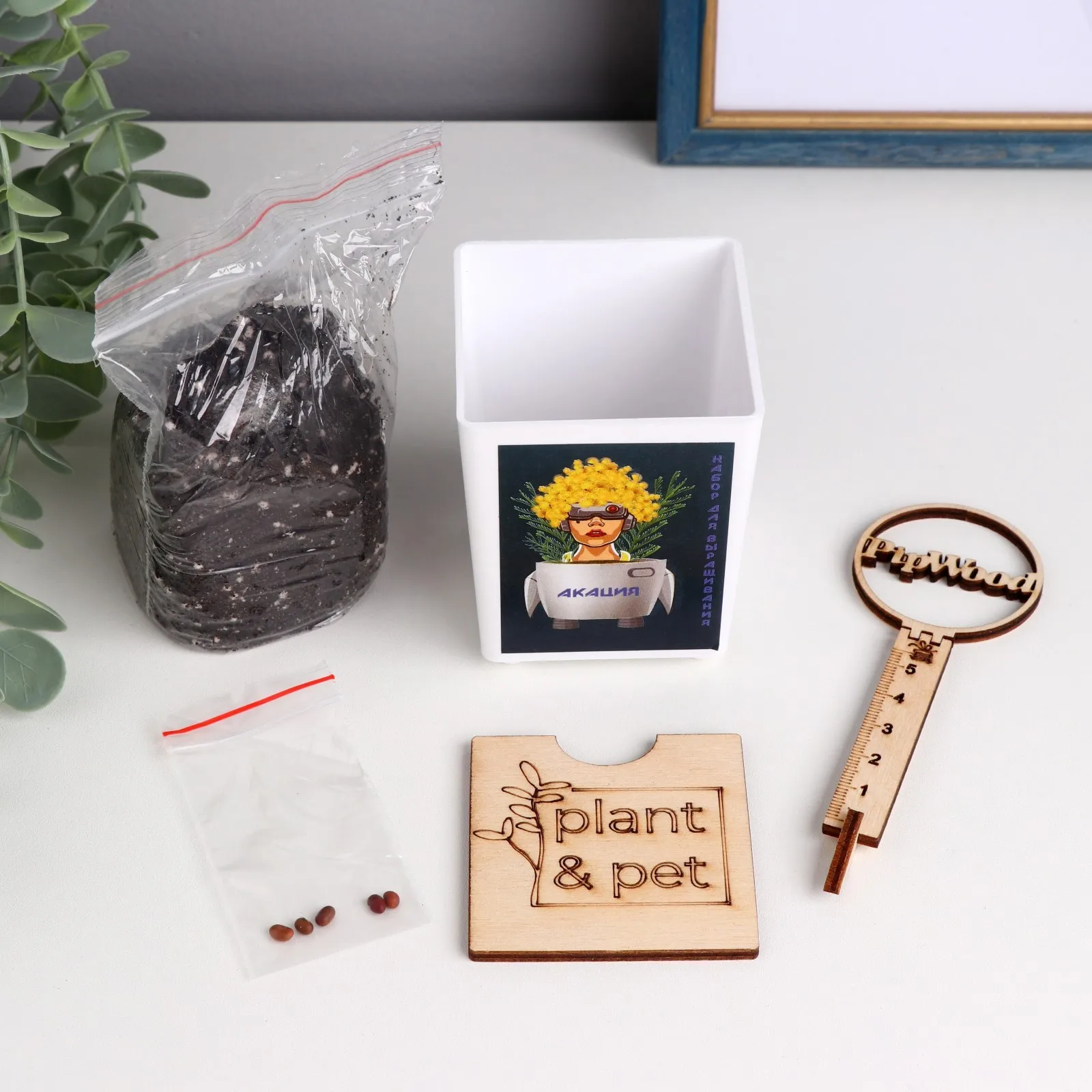 Набор для выращивания P&ampP &quotАкация&quot |