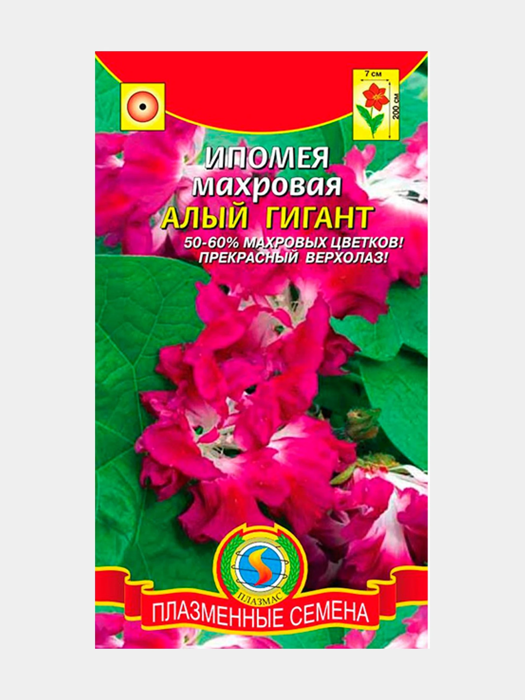 Купить Семена Алый Сахар