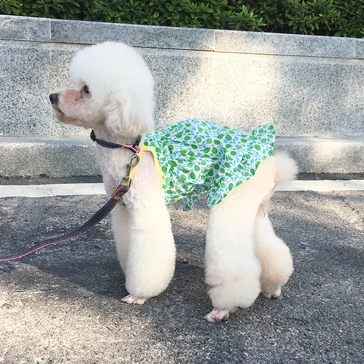 

2022 Dog Clothes For Small Dogs Cats Puppy Slevelesss Sweet Floral Dog Sling Dress Ropa De Perros Mascotas