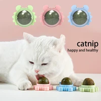 healthy catnip ball pet cat toy nutritional candy peppermint ball kitty molar energy ball oral hygiene cat supplies