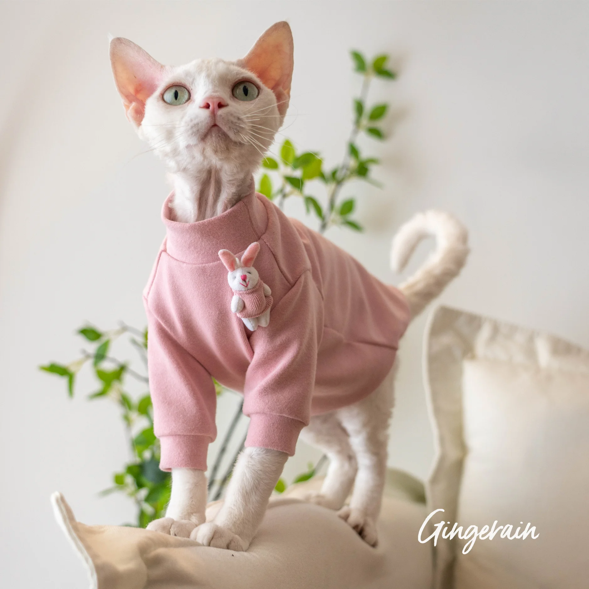 

Одежда для кошки пряничного сфинкса, одежда для кошки без волос, куртка Девон Рекс безрукавка, пальто, футболка, 100% хлопок, удобный розовый