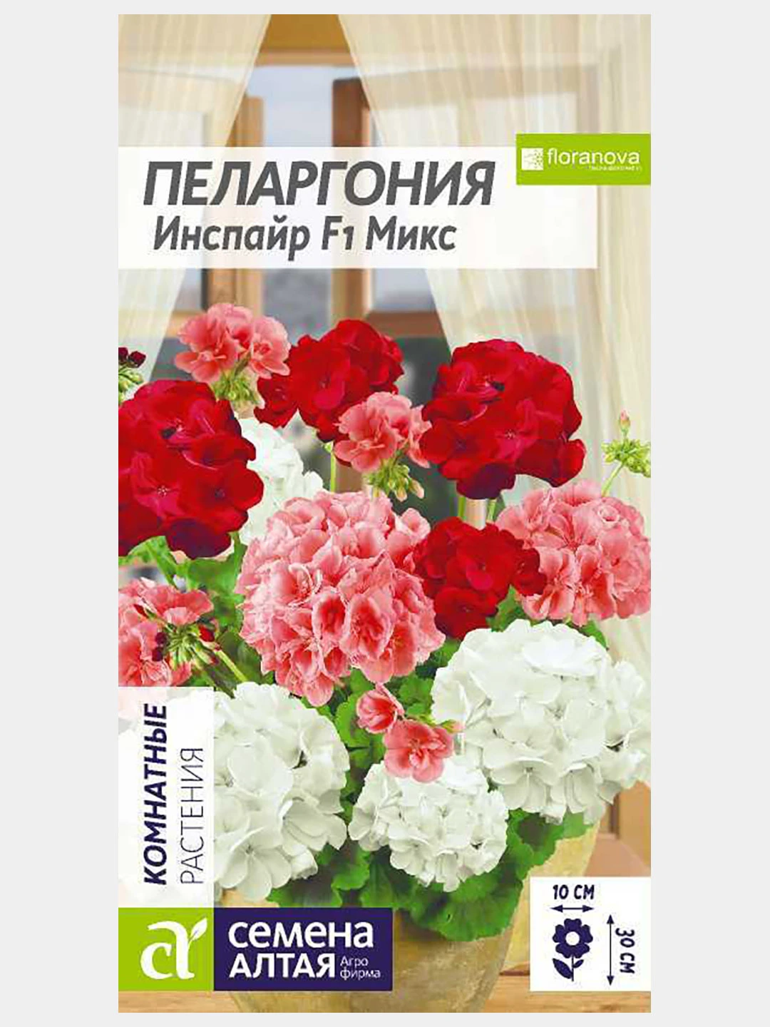 Пеларгония Зональная Купить В Горшке