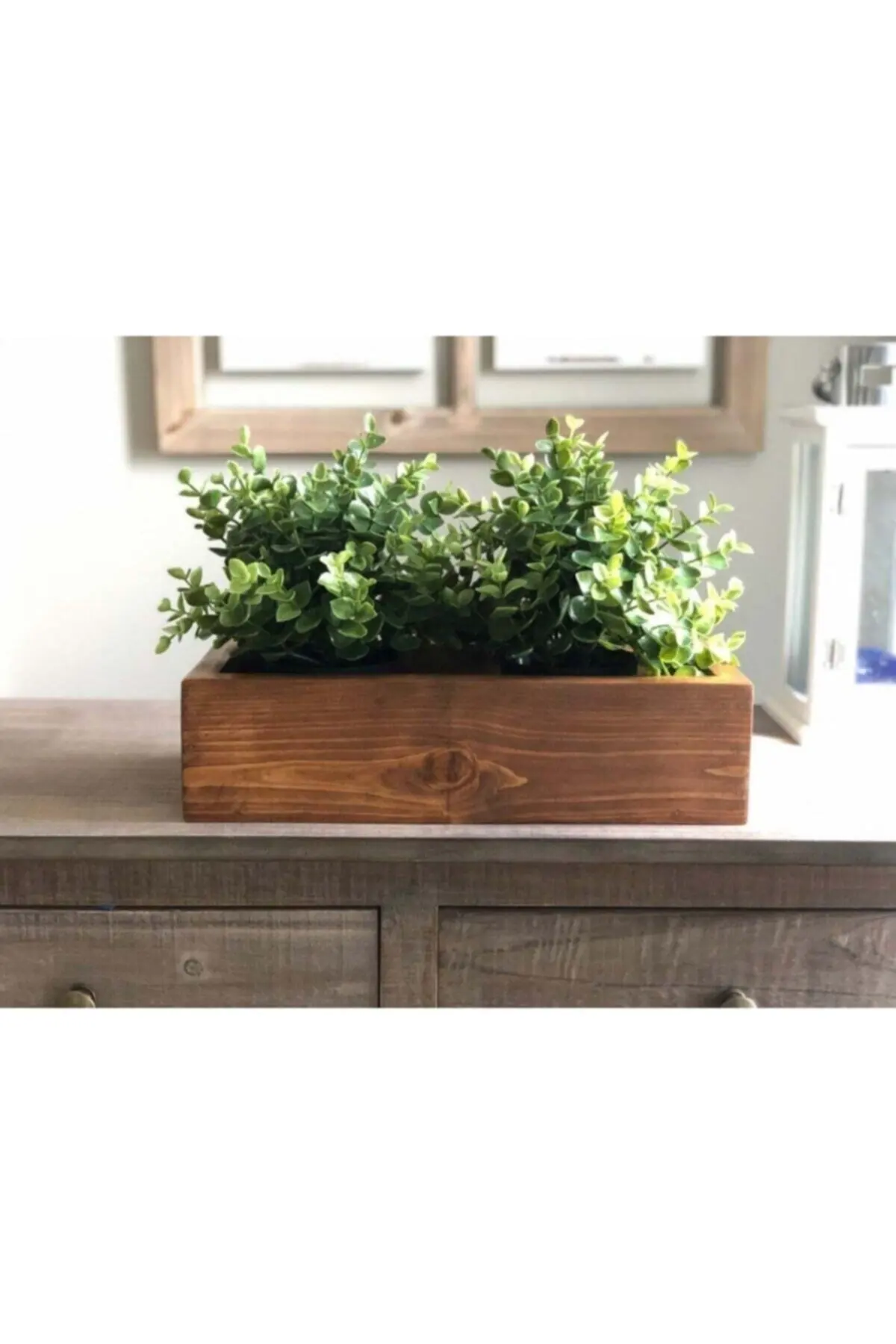 Wooden Pot Entice In Cactus or Organizer Multi-Purpose Box entice in