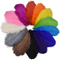 10pcslot colored ostrich feathers for crafts wedding decoration handicraft accessories table centerpieces carnival plumas decor