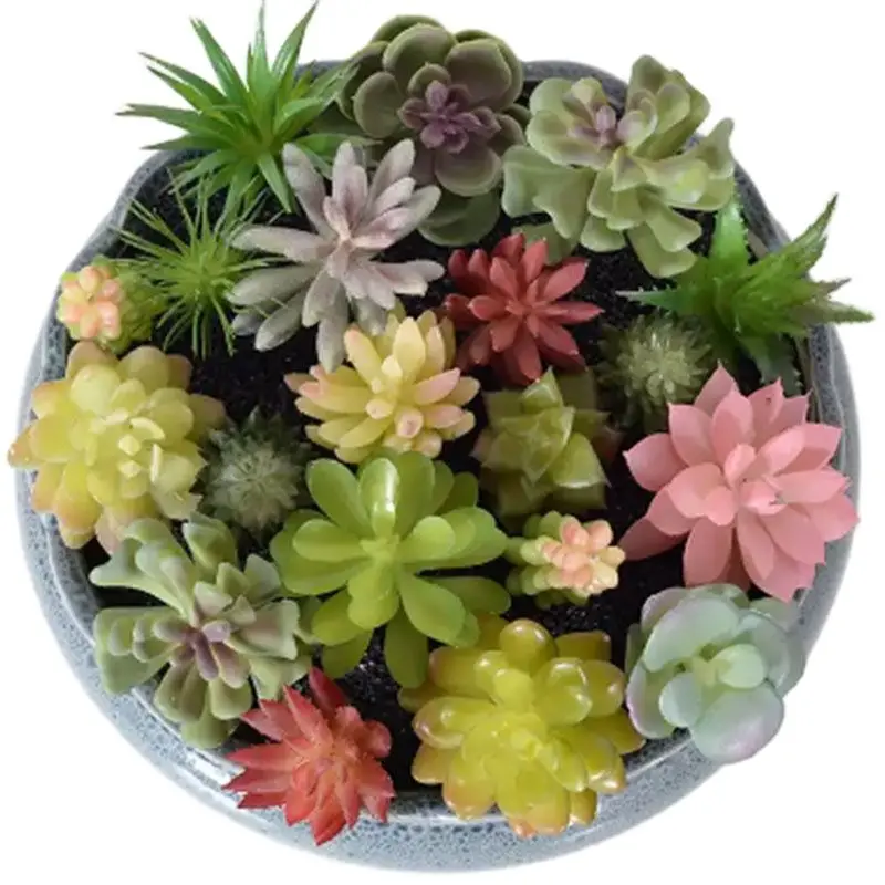 

Simulation of Succulent Plants Green Plastic Lifelike Artificial Cactus Plants Indoor Office Table Small Ornaments Decorations