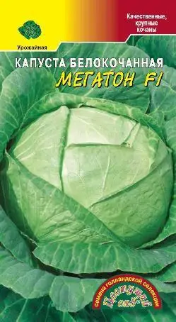 Капуста Мегатон Купить Семена