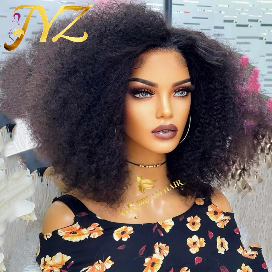

Afro Kinky Curly Wig 13x4 Lace Front Human Hair Wigs For Women 200% Density Glueless Brazilian Remy Pre-Plucked Natural Hairline