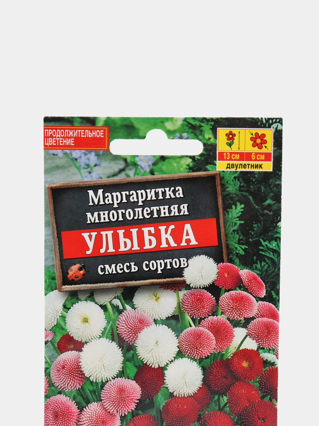 Маргаритки Семена Купить