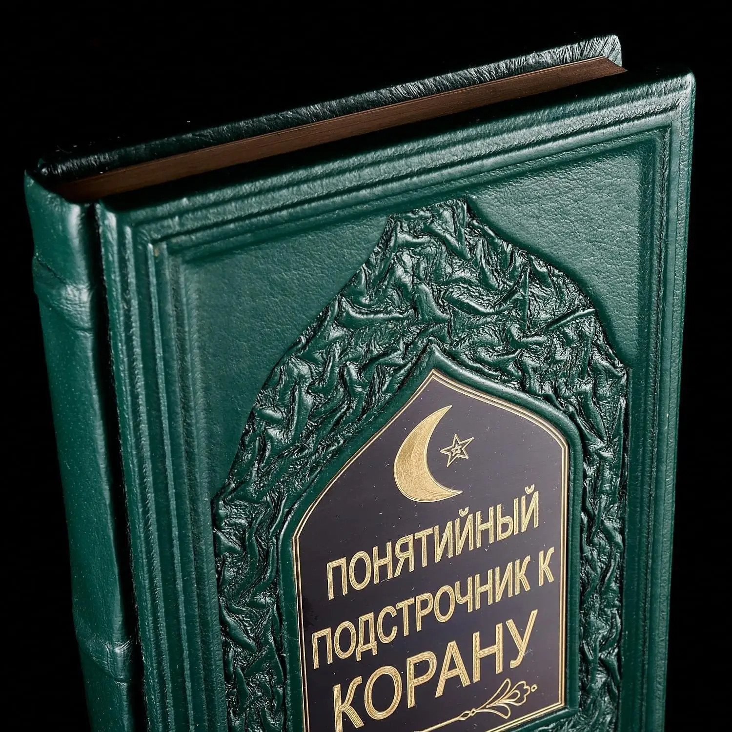 Рисунок 3 - Книга подарочная "Понятийный