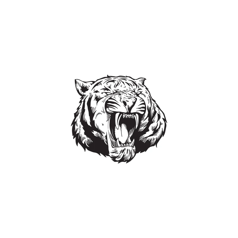 

Яркая наклейка в виде тигра с зубцами для автомобиля, личные животные, декоративные аксессуары, подходящие для мотоциклетного окна, холодил...