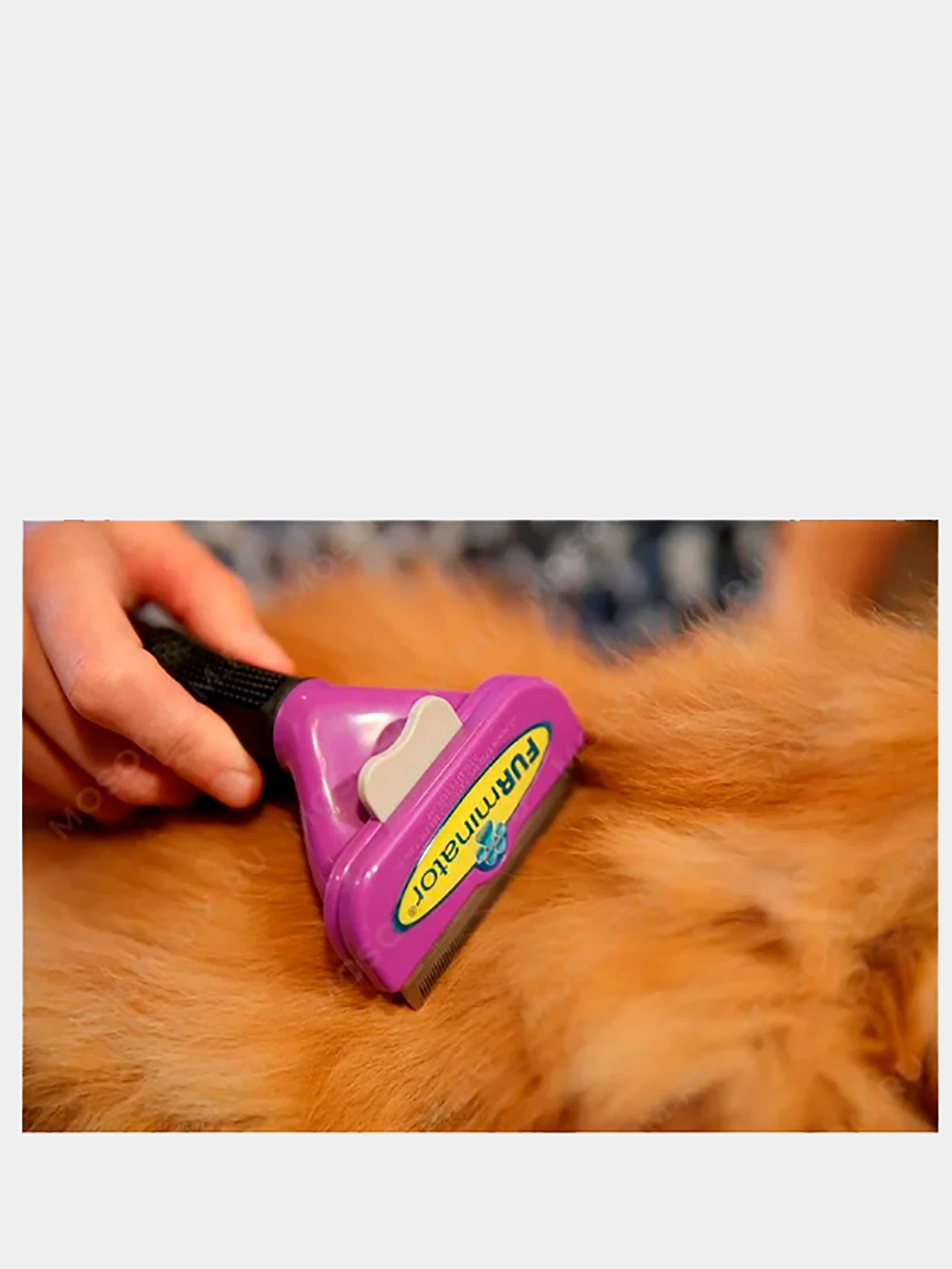 колтунорез дешеддер. триммер для кошек для вычесывания подшерстка. Furminator для кошек длинношерстных. для вычесывания шерсти фурминатор для кошек. щетка триммер для собак фурминатор l.