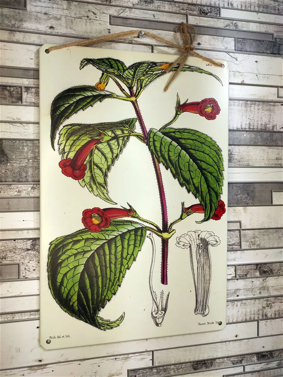 Тип ботаник. Очкастый ботаник. Смешные мужские костюмы. Тип ботаник. Макияж ботаник.