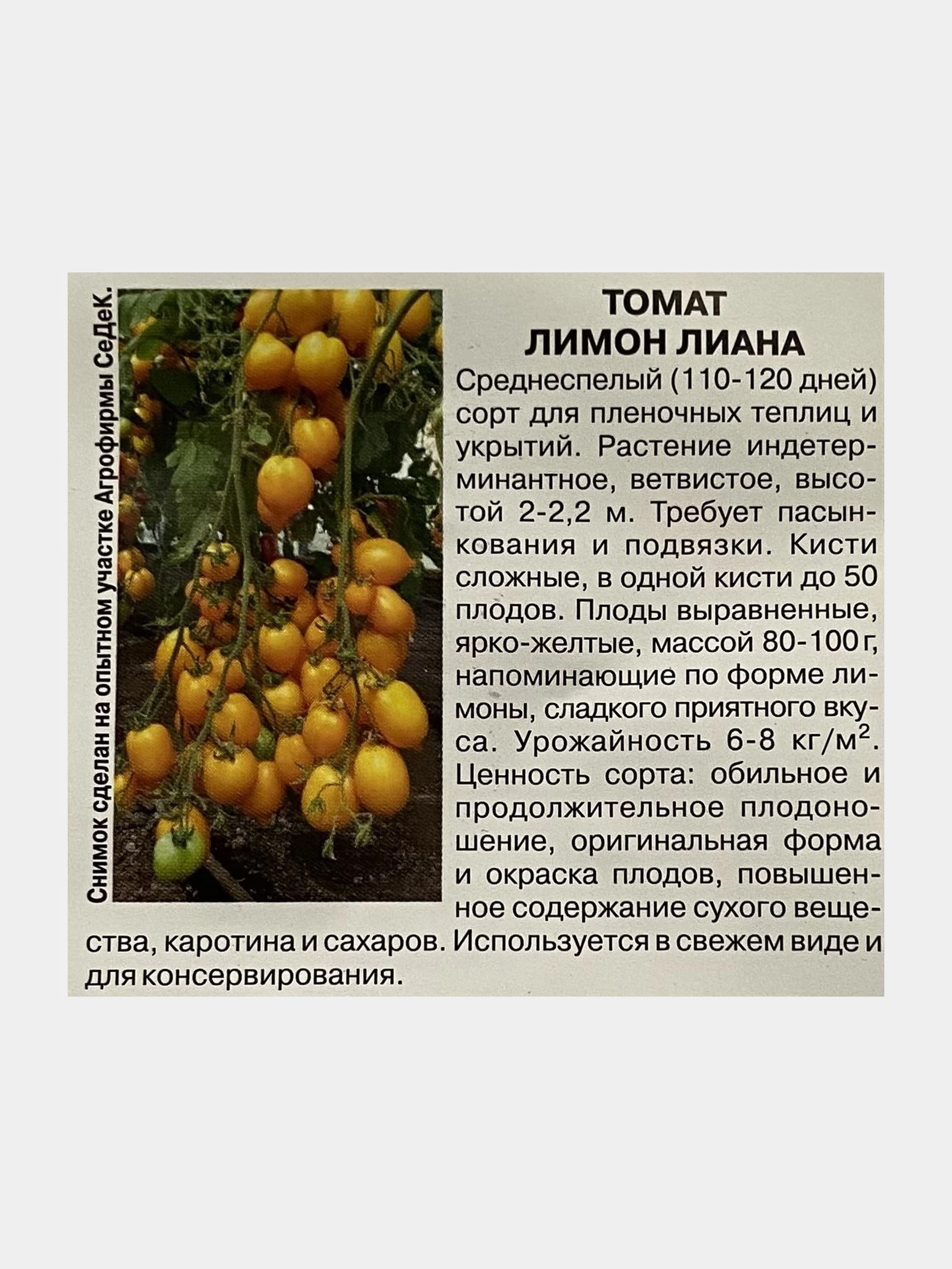 Томат Лимонный Отзывы Фото