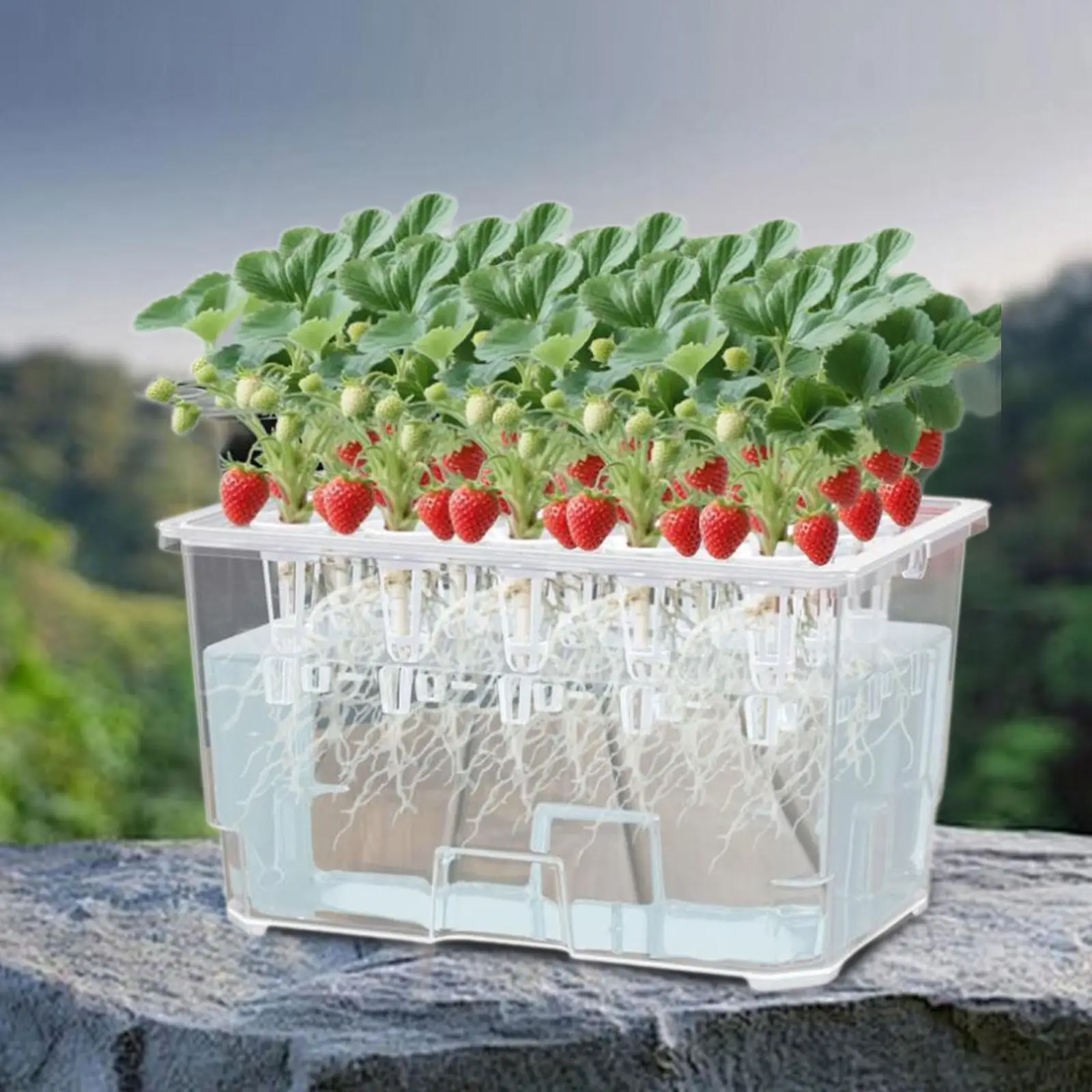 

Горшки для рассады Kesoto