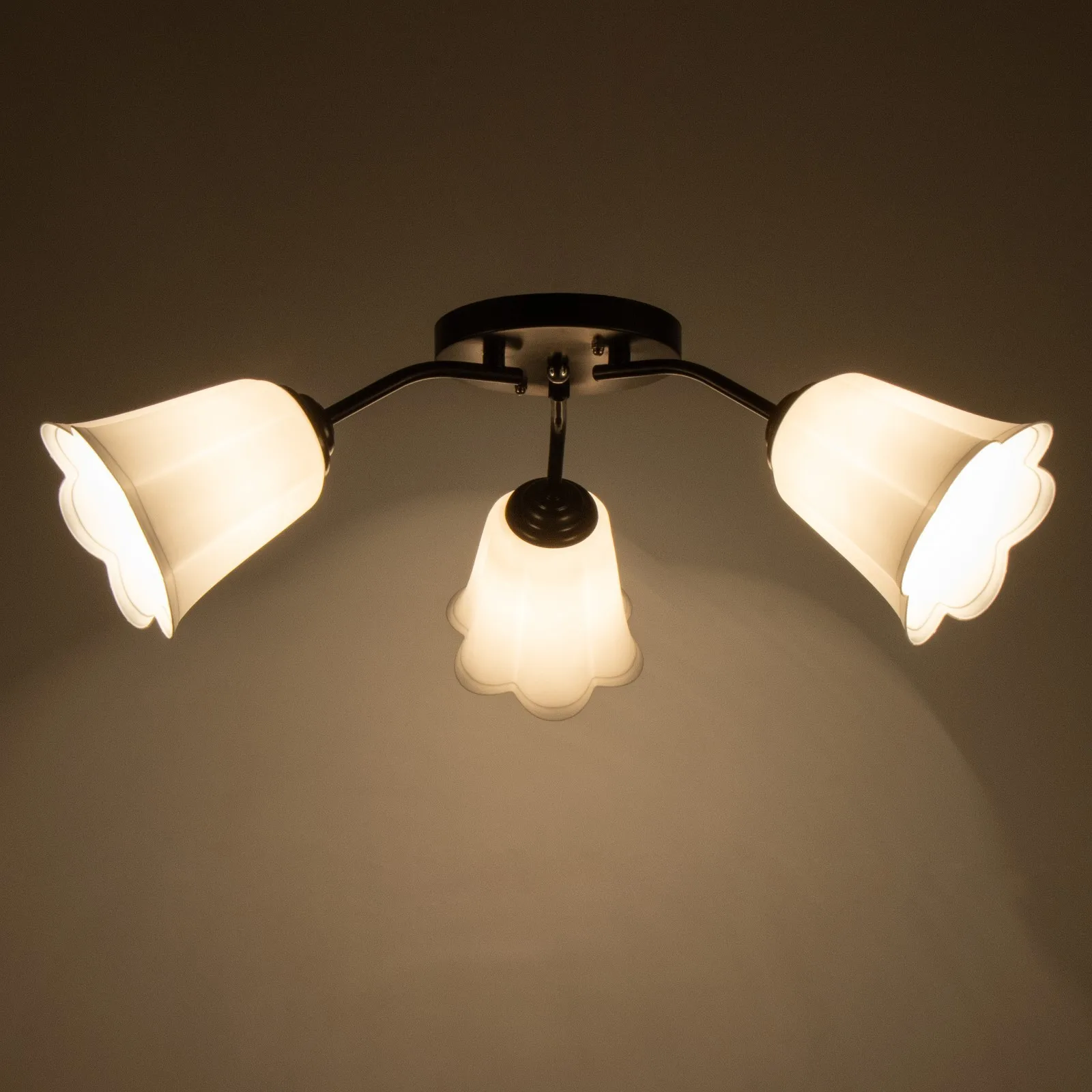 Люстра Онлайн (цветок) 3х15Вт Е27 МОДЕЛЬ: BR 00234 черный/белый