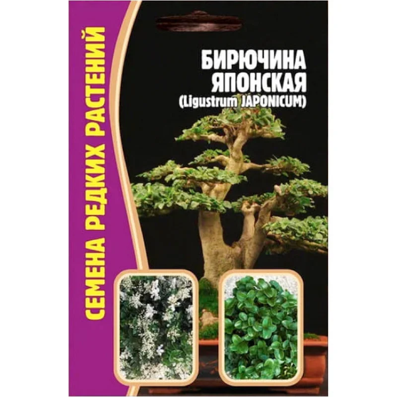 Семена Японского Клена Купить