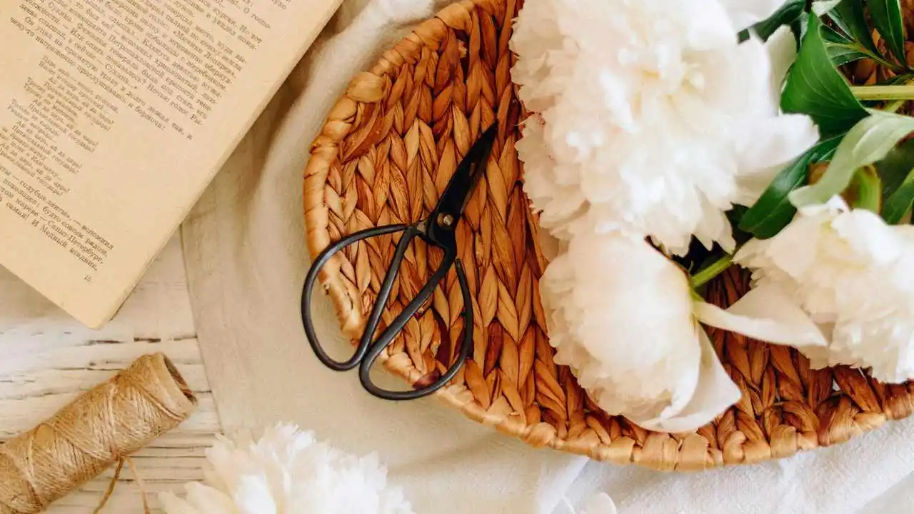 LinxOne картина на холсте  