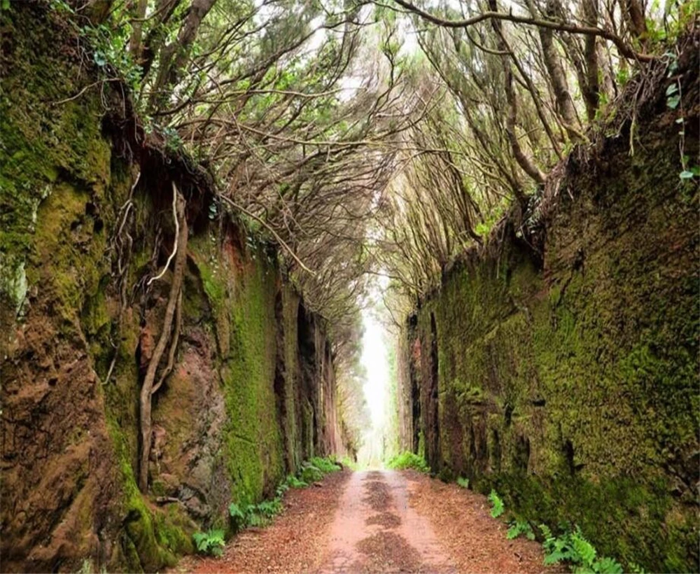 Большой размер обоев на заказ стена лоза мох тропа китайский ветер ТВ гостиная