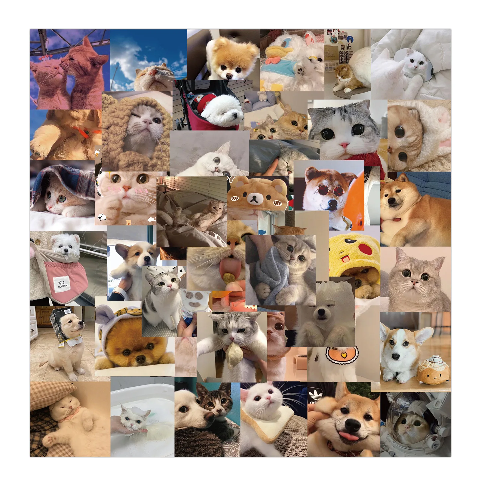 Pegatinas de animales Kawaii para ni&ntilde;os, calcoman&iacute;as impermeables, divertidas, de gato, perro, para ordenador port&aacute;til, equipaje, guitarra, &aacute;lbum de recortes, 10/30/50 Uds.-3
