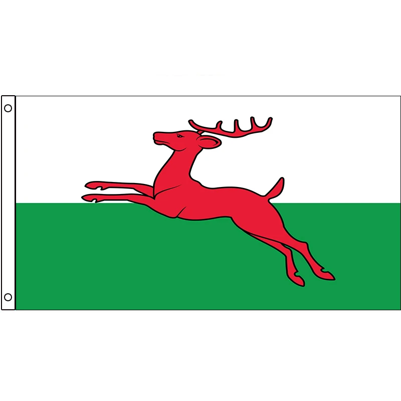 

Smallingerland Flag Holland Netherlands City 60x90cm 90x150cm Decoration Banner for Home and Garden