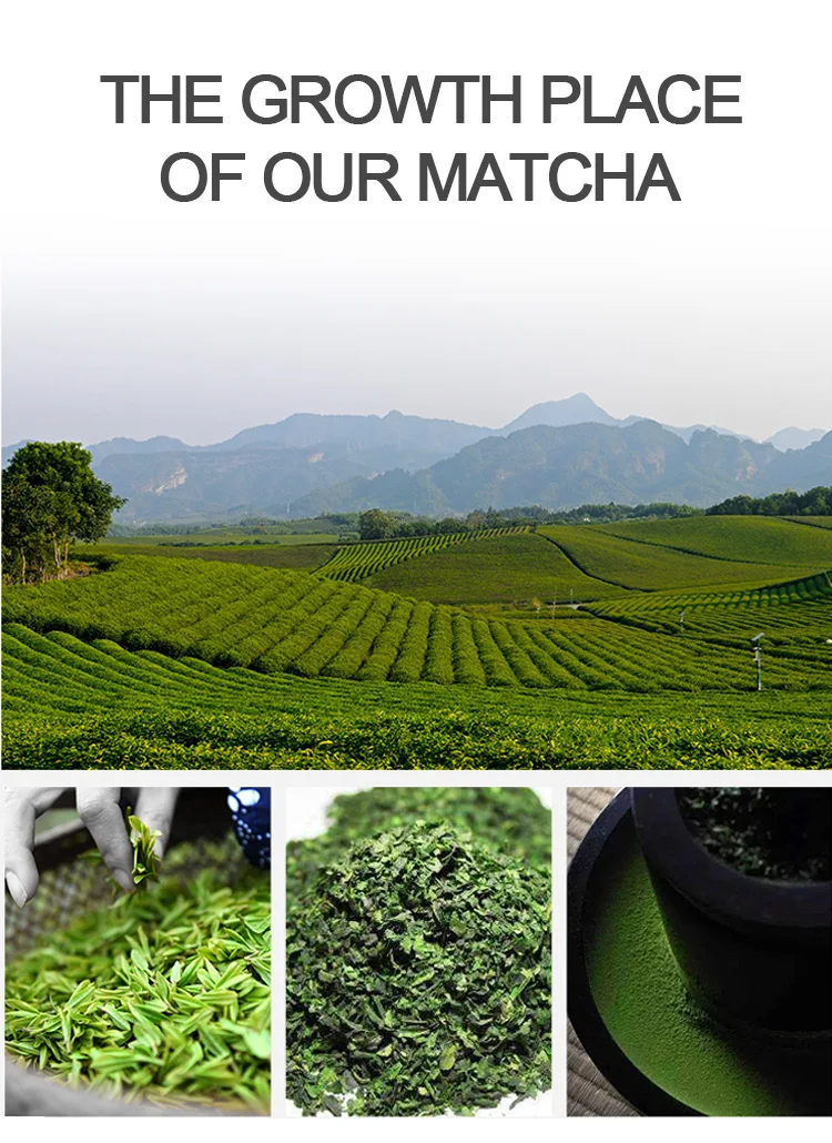 

5*100g Pure Natural Matcha Powder Slimming Green Tea Slim Fit Antioxidant Organic Teabag High Quality Digestion Enhancer