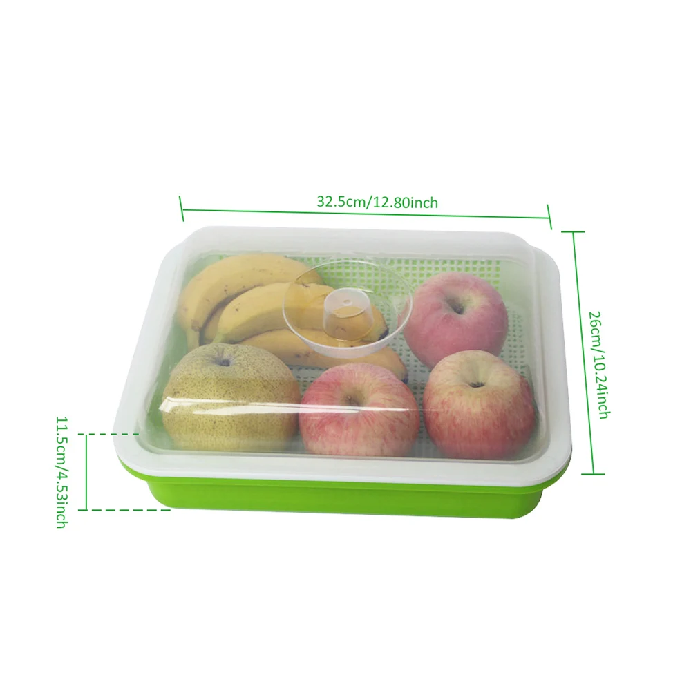 

Bean Sprouts Double-layer Dishes Plate Seedling Tray Plastic Hydroponic Flower Basket Flower Plant Home Garden Nursery Pots