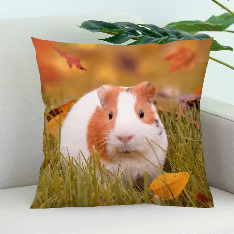 Новое поступление свинки накидка для подушки Спальня дома или офиса