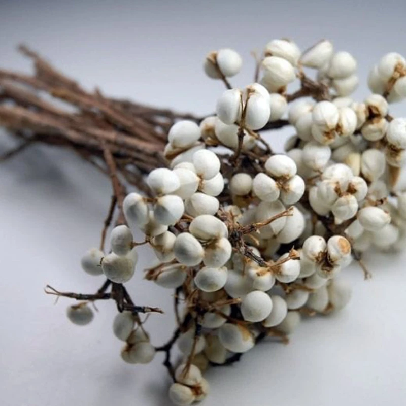 

50g Ginkgo Fleurs Sches White Bean Bouquet Salt Diy Handmade Garland Floral Arrangement Boda Decoracin Eternal Dried Flower