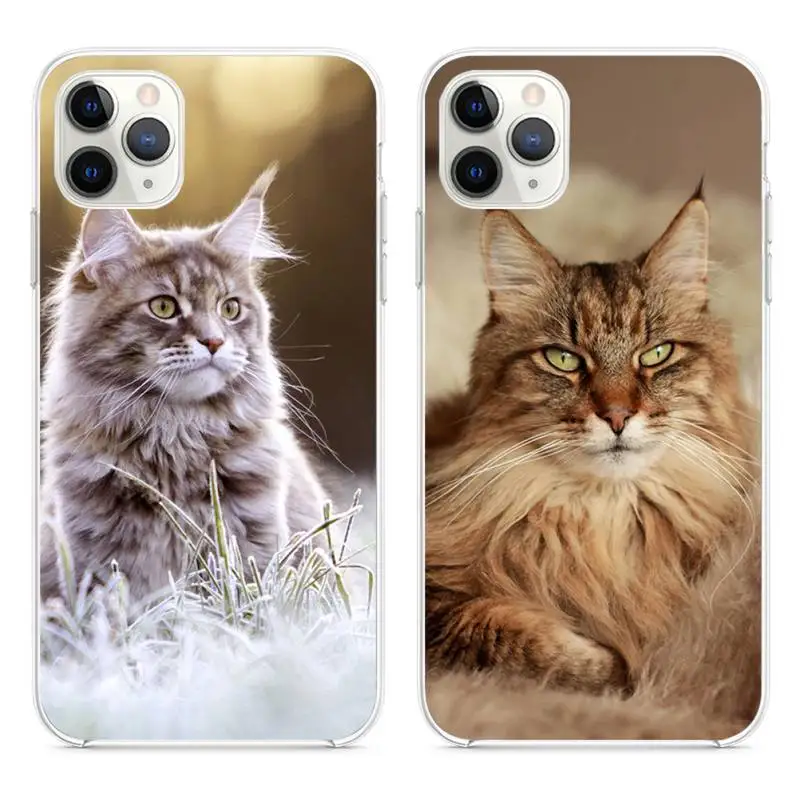 

pet maine coon cat Phone Case for iphone 12 pro max mini 11 pro XS MAX 8 7 6 6S Plus X 5S SE 2020 XR cover