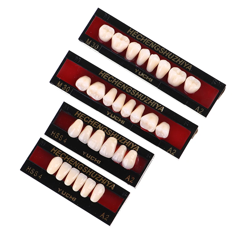 

24 Pcs A2 Dental Synthetic Polymer Teeth Full Set Resin Denture Teeth Material Medical Dental supplies