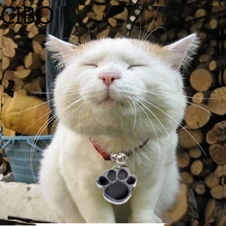 2019 Новые Оптовые Эмалевые Кошачьи Собачьи/Медвежьи Лапки Поворотный Застежка-Карабин Связывающие Кольца Ключей Подвески для Ключей Сумка Ювелирные Изделия.