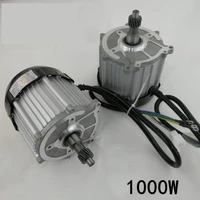 electric three wheeled or four wheeled vehicle permanent magnet dc brushless motor 1000w