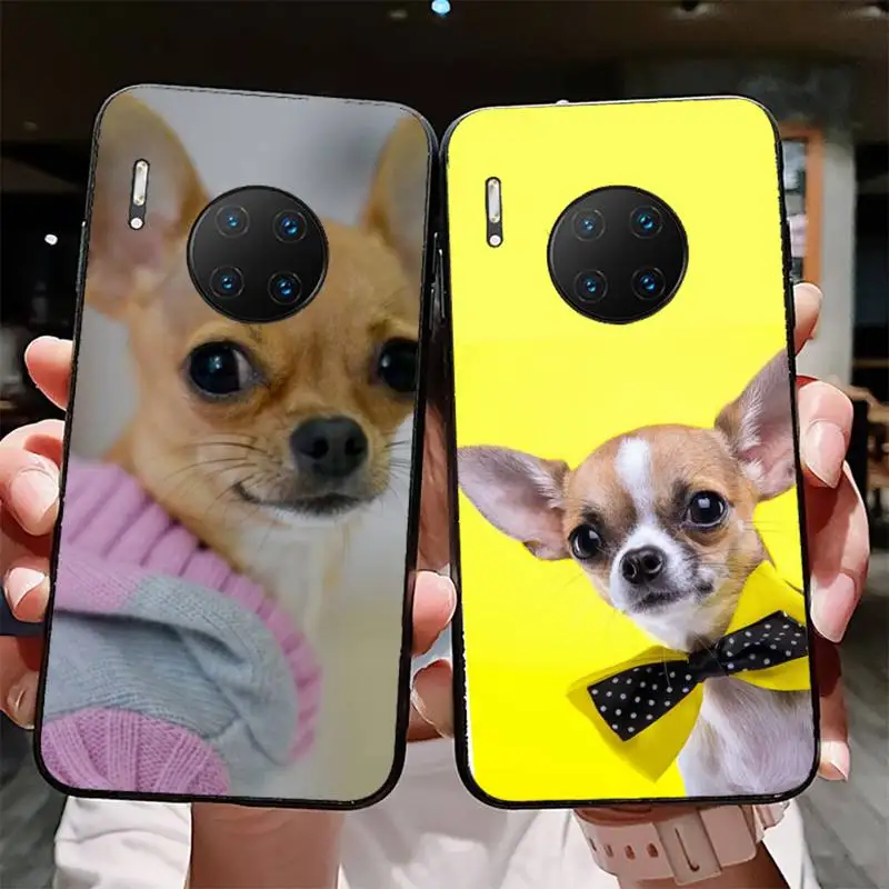 

YNDFCNB Chihuahua Dog Fashion Phone Case for Huawei Mate 20 10 9 40 30 lite pro X Nova 2 3i 7se