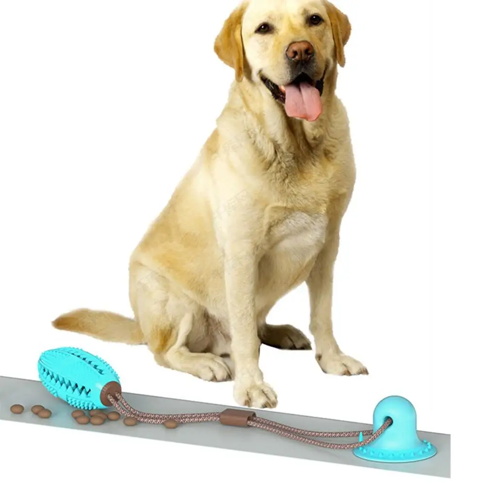 Бесплатная доставка игрушка для собак с присоской тянуть мяч