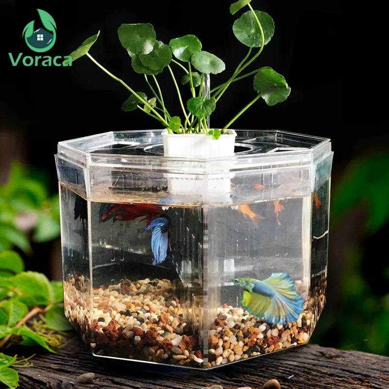 Изоляционная коробка Betta четыре блока аквариум настольная прозрачная миска для