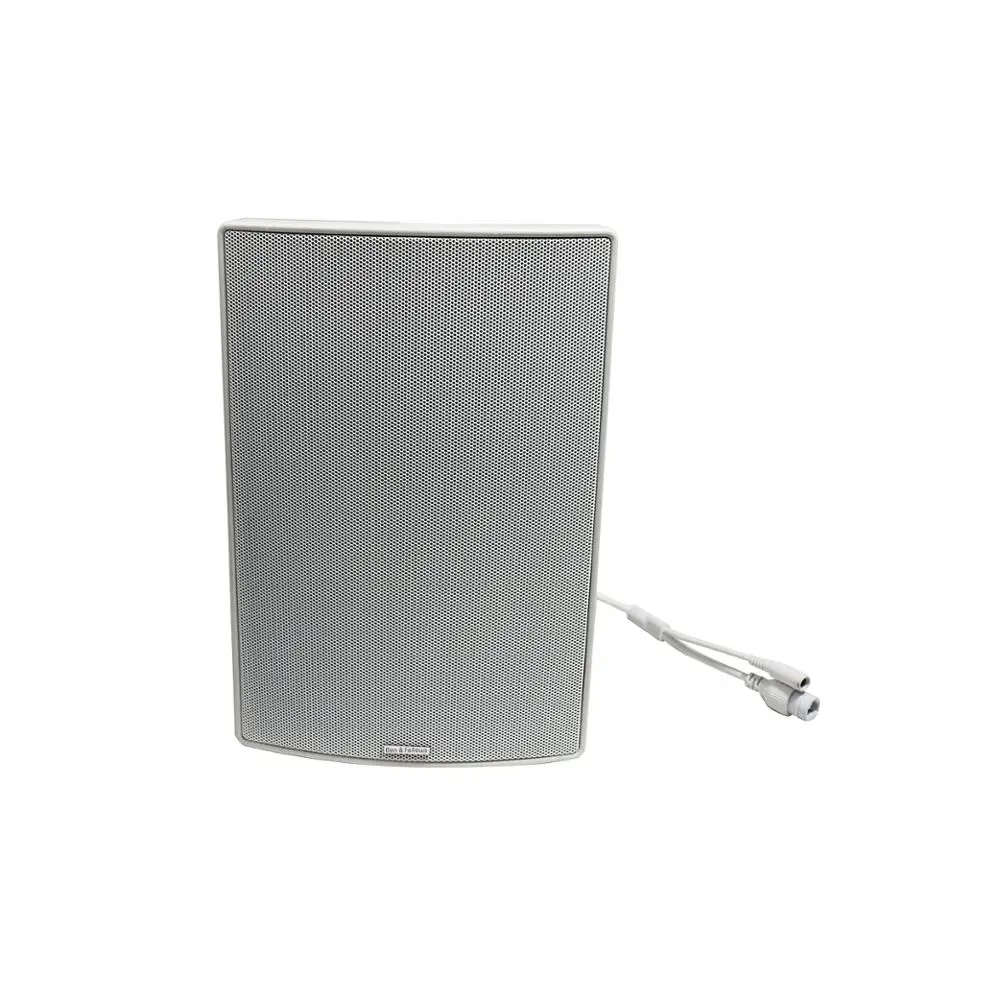 15/30 Вт 24 в пост. Тока/источник питания PoE активный SIP-сетевой водонепроницаемый настенный динамик с интерфейсом RJ45, поддерживающим MP3, WMA и т. д.