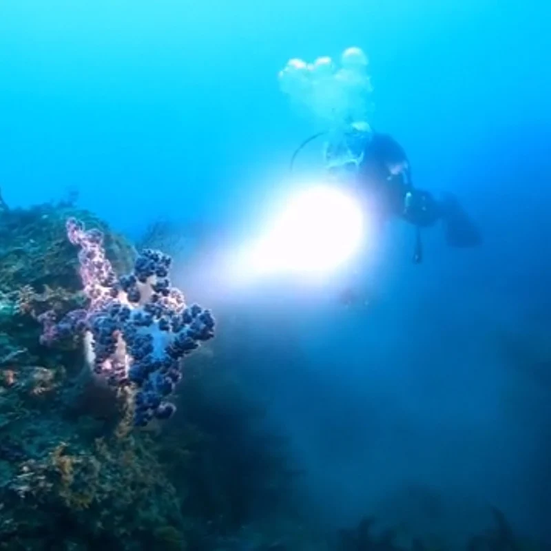 

XM-L2 U3 LED Diving Flashlight Waterproof Portable Lantern Lamp 18650 Battery Torch Bulbs for Swimming 4000lm Underwater 100m