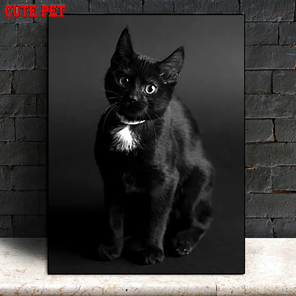 Алмазная вышивка с изображением котенка животного | Дом и сад