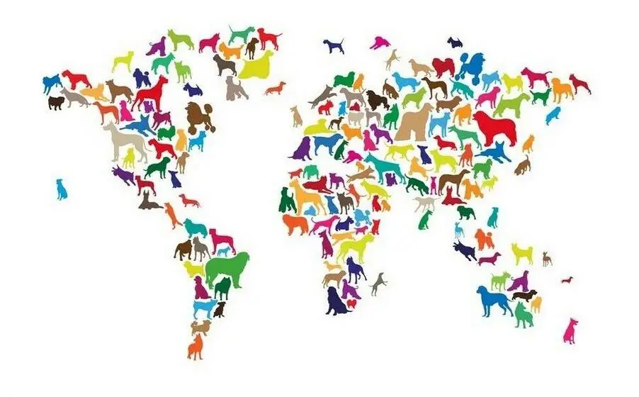 Dogs Map of the World Map Art Silk Poster Home Wall Decor