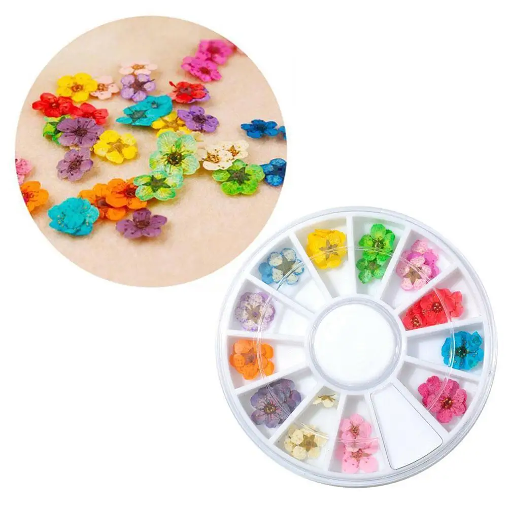 

12/24pcs 3D Dried Flower Nail Decoration Mixed Natural DIY Nail Decals Sticker Jewelry UV Floral Art Gel Polish Manicure U9X5